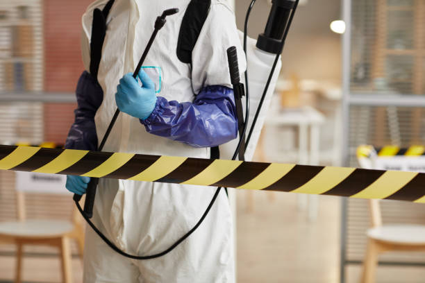 Professional Odor Removal technician working in Highland, NY